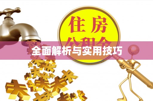 托克逊全面解析与实用技巧