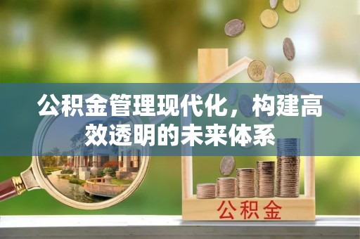 托克逊公积金管理现代化，构建高效透明的未来体系