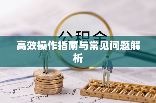 托克逊高效操作指南与常见问题解析