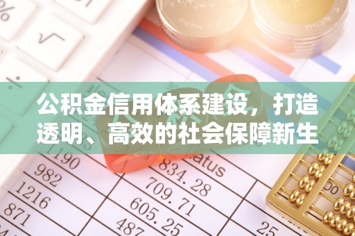 托克逊公积金信用体系建设，打造透明、高效的社会保障新生态