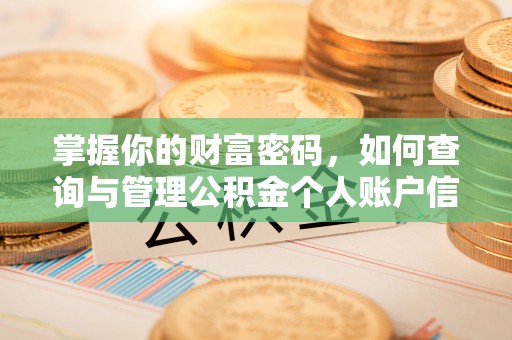 托克逊掌握你的财富密码，如何查询与管理公积金个人账户信息