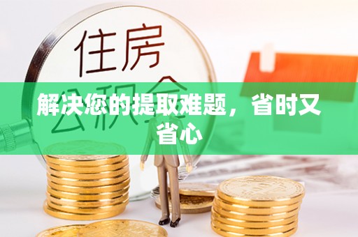 托克逊解决您的提取难题，省时又省心