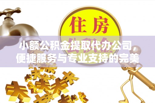 托克逊小额公积金提取代办公司，便捷服务与专业支持的完美结合