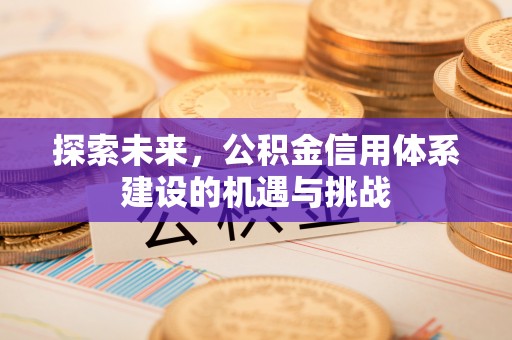 托克逊探索未来，公积金信用体系建设的机遇与挑战