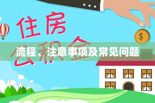 托克逊流程、注意事项及常见问题