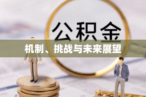托克逊机制、挑战与未来展望