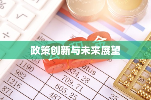 托克逊政策创新与未来展望