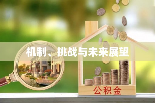 托克逊机制、挑战与未来展望